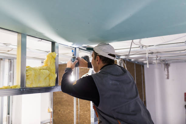 Best Cellulose Insulation  in Fris, CO