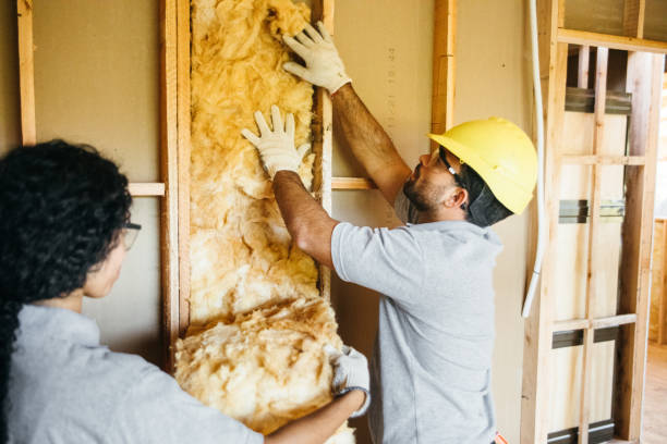  Fris, CO Insulation Contractor Pros