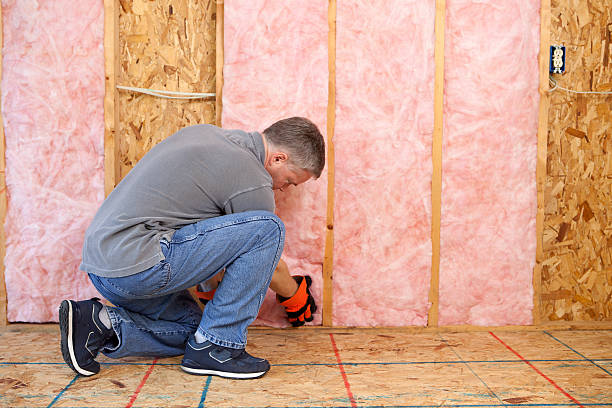 Best Insulation Contractors for Homes  in Fris, CO