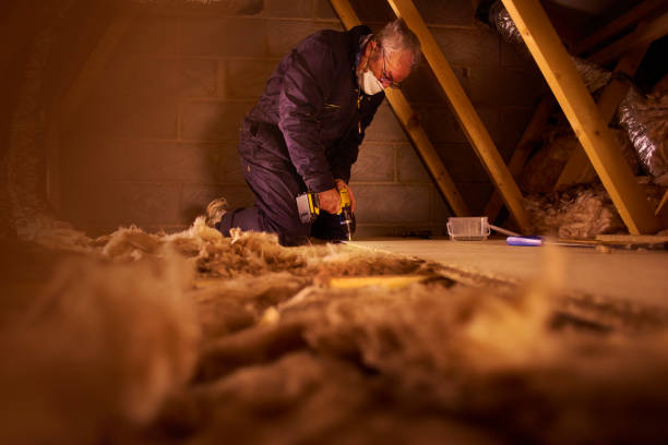 Best Insulation Inspection Services  in Fris, CO